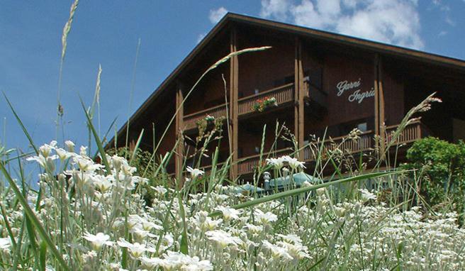 Panorama Garni Ingrid Otel Dobbiaco Dış mekan fotoğraf